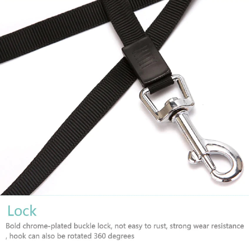 16.5FT Automatic Retractable Dog Leash with Complimentary Pet Collar - Free Shipping in the U.S.
